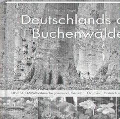 Deutschlands alte Buchenwälder von Steffen Verlag Friedland