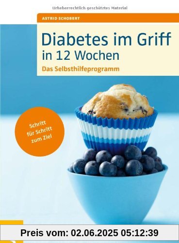 Diabetes im Griff in 12 Wochen: Das Selbsthilfeprogramm. Schritt für Schritt zum Ziel
