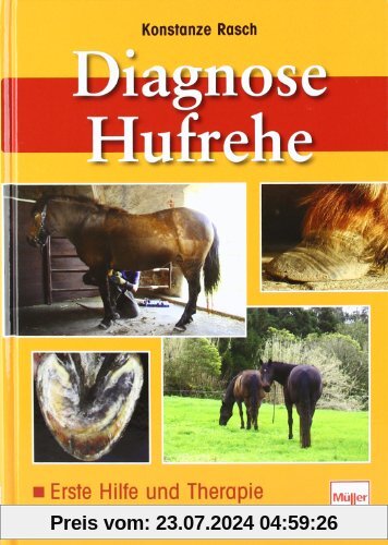 Diagnose Hufrehe: Erste Hilfe und Therapie, Risikofaktoren, Hufanatomie