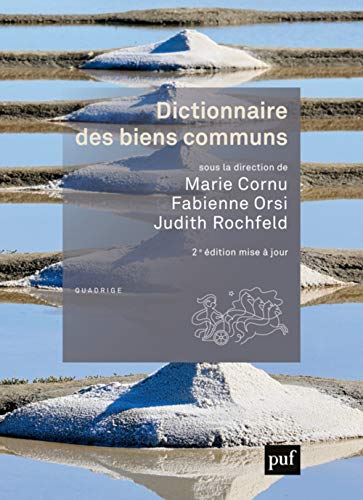 Dictionnaire des biens communs von PUF