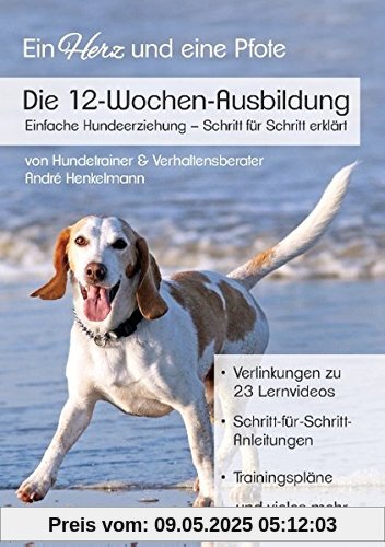 Die 12-Wochen-Ausbildung: Einfache Hundeerziehung - Schritt für Schritt erklärt