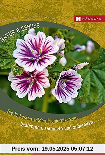 Die 12 besten essbaren Pionierpflanzen: bestimmen, sammeln und zubereiten (Natur & Genuss)