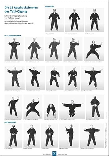 Die 15 Ausdrucksformen des Taiji Qigong Poster