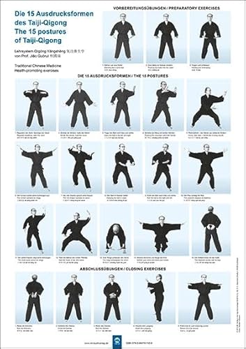 Die 15 Ausdrucksformen des Taiji Qigong Poster von mgo fachverlage GmbH & Co. KG