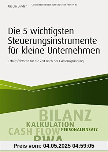 Die 5 wichtigsten Steuerungsinstrumente für kleine Unternehmen: Erfolgsfaktoren für die Zeit nach der Existenzgründung (Haufe Fachbuch)