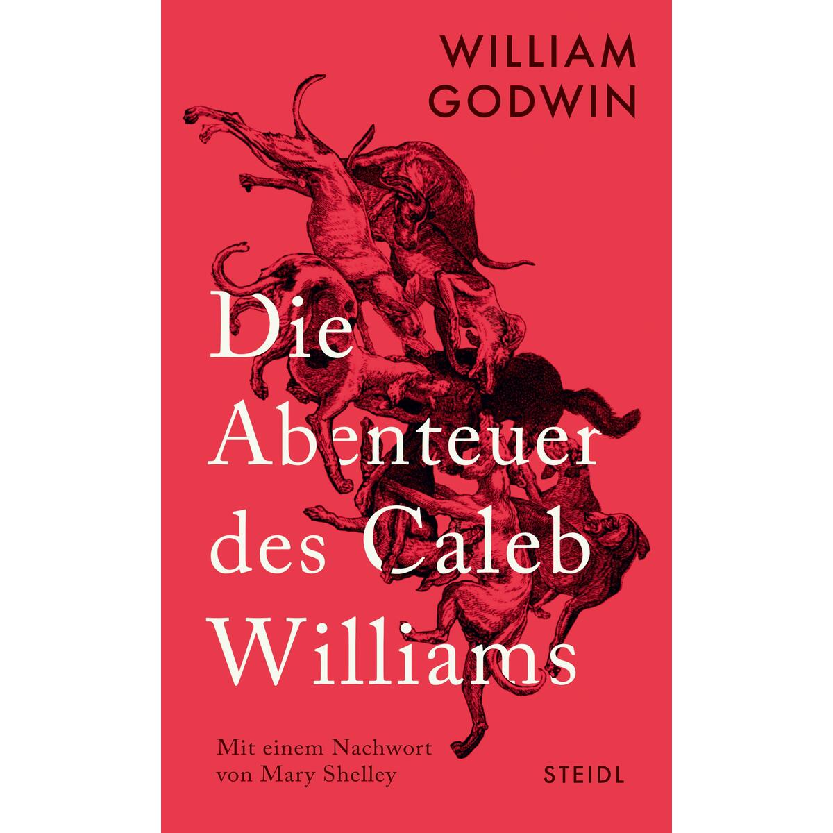 Die Abenteuer des Caleb Williams von Steidl GmbH & Co.OHG