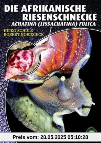 Die Afrikanische Riesenschnecke - Achatina fulica