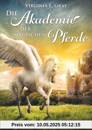 Die Akademie der magischen Pferde - Band 1: Sturmblut