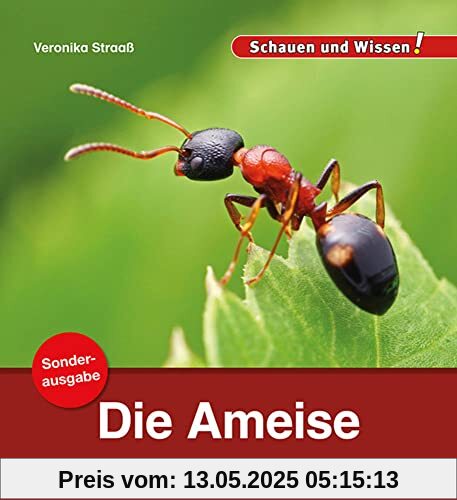 Die Ameise / Sonderausgabe: Schauen und Wissen! (Schauen und Wissen! Heftausgaben)