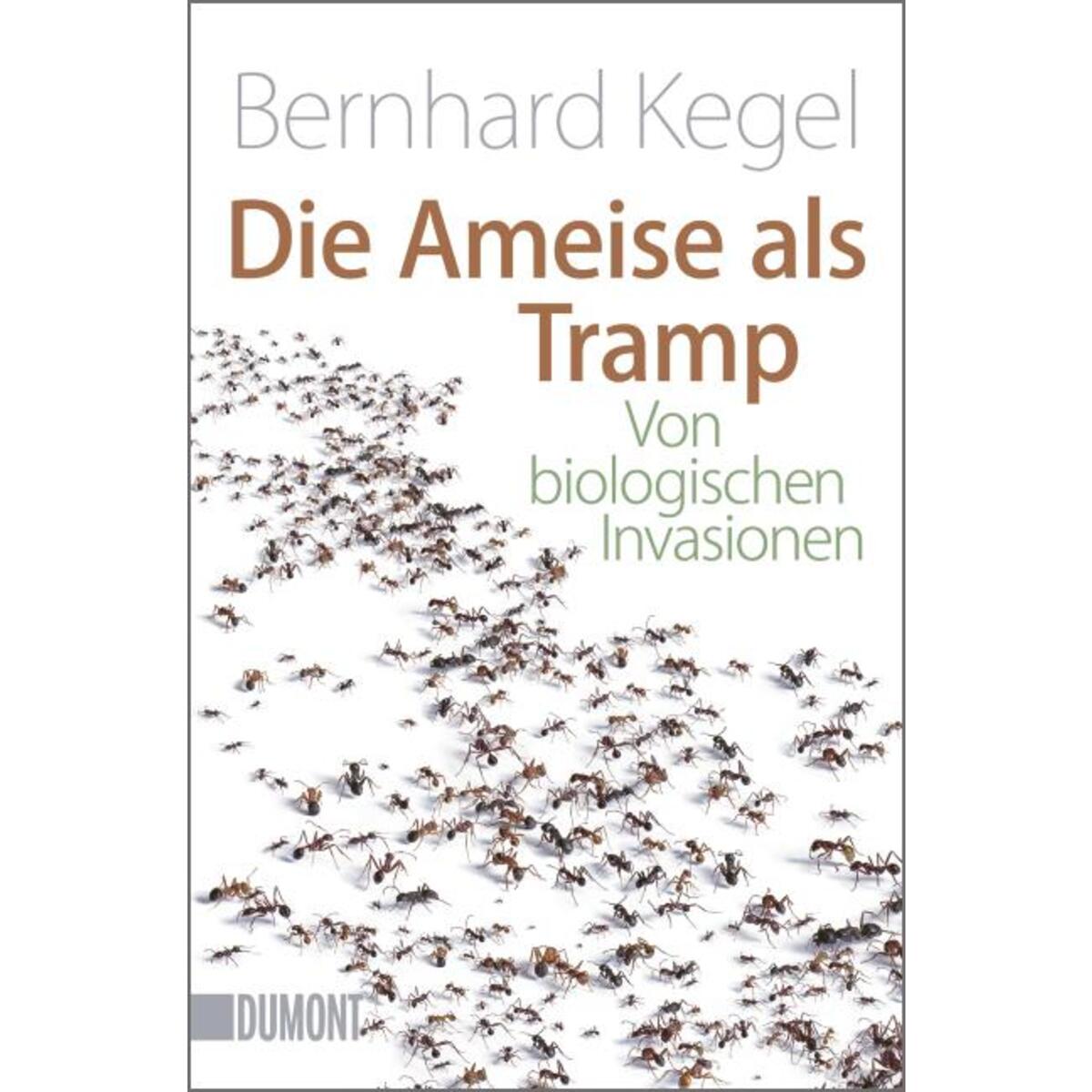 Die Ameise als Tramp von DuMont Buchverlag GmbH