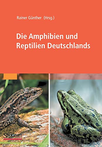 Die Amphibien und Reptilien Deutschlands von Spektrum Akademischer Verlag