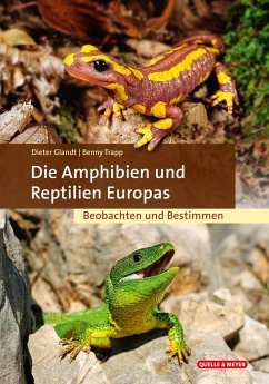 Die Amphibien und Reptilien Europas von Quelle & Meyer