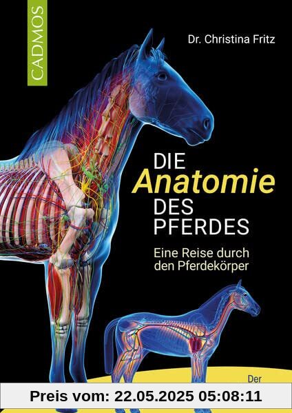 Die Anatomie des Pferdes: Eine Reise durch den Pferdekörper Die Anatomie des Pferdes: Eine Reise durch den Pferdekörper