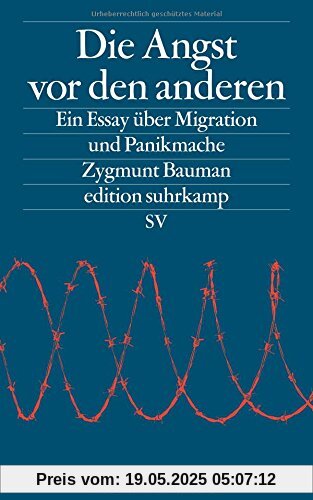 Die Angst vor den anderen: Ein Essay über Migration und Panikmache (edition suhrkamp)