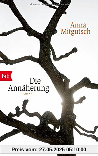 Die Annäherung: Roman