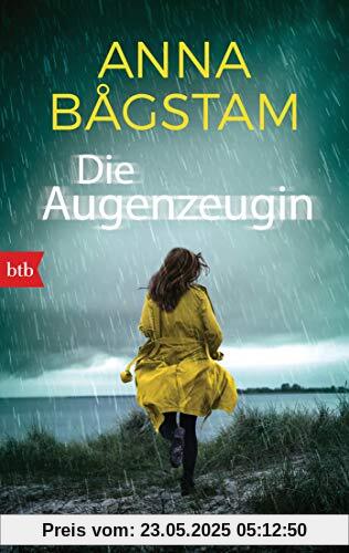 Die Augenzeugin: Kriminalroman (Harriet Vesterberg ermittelt, Band 1)