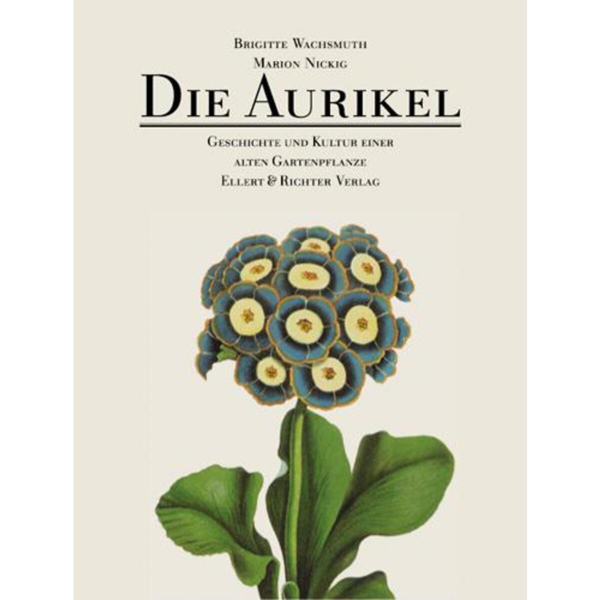 Die Aurikel von Ellert & Richter Verlag G