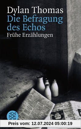 Die Befragung des Echos: Frühe Erzählungen und Aufsätze
