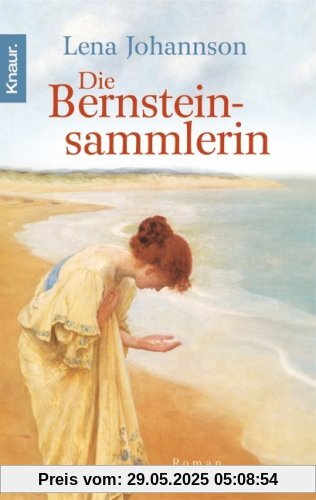 Die Bernsteinsammlerin: Roman Die Bernsteinsammlerin: Roman