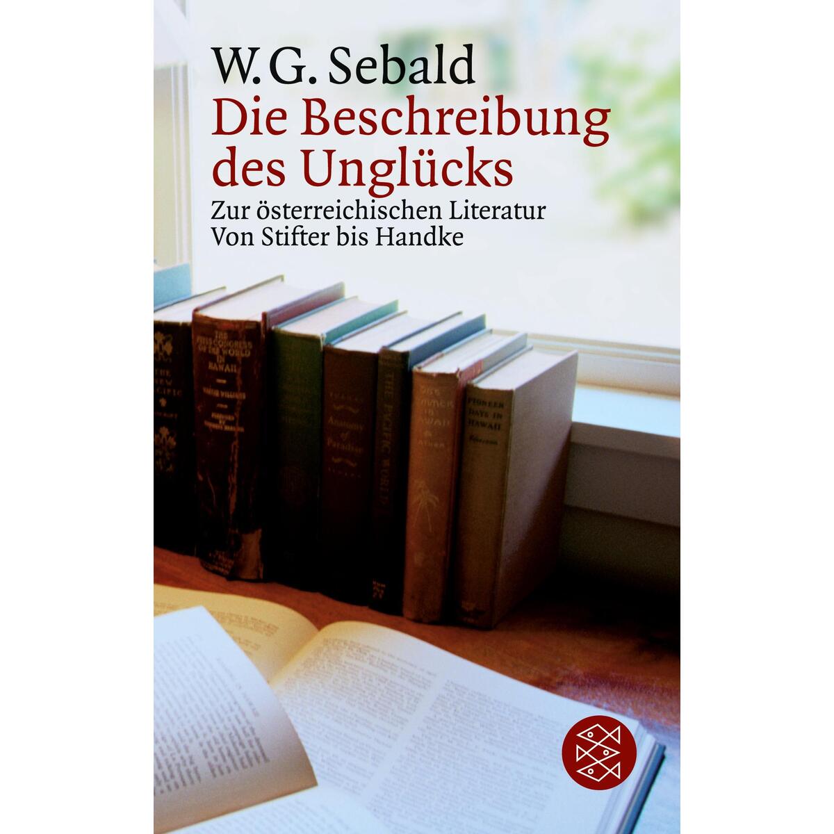 Die Beschreibung des Unglücks Die Beschreibung des Unglücks von S. Fischer Verlag