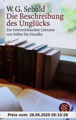 Die Beschreibung des Unglücks: Zur österreichischen Literatur von Stifter bis Handke