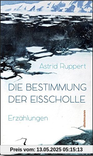 Die Bestimmung der Eisscholle: Acht Erzählung vom Nordpol