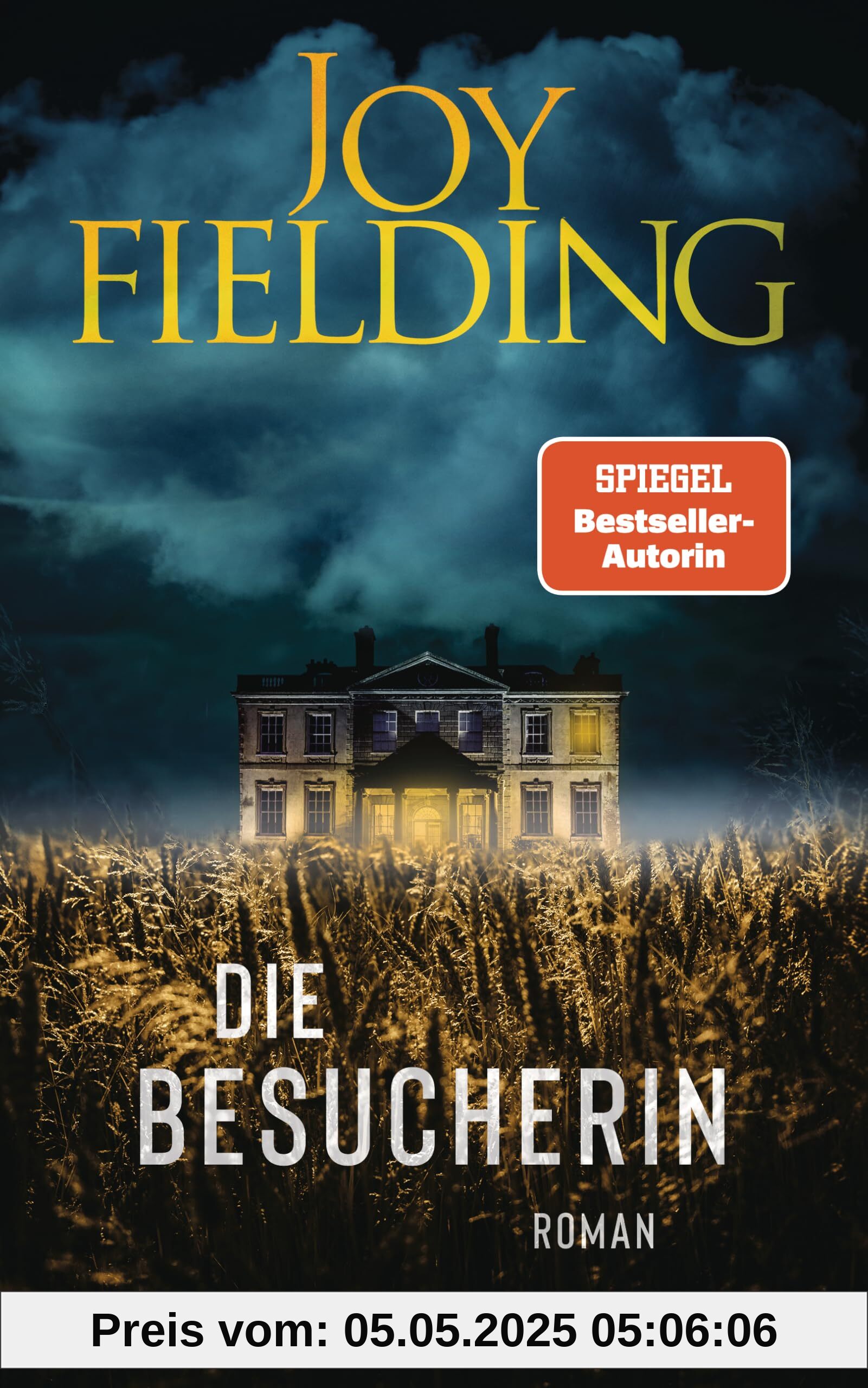 Die Besucherin: Roman Die Besucherin: Roman