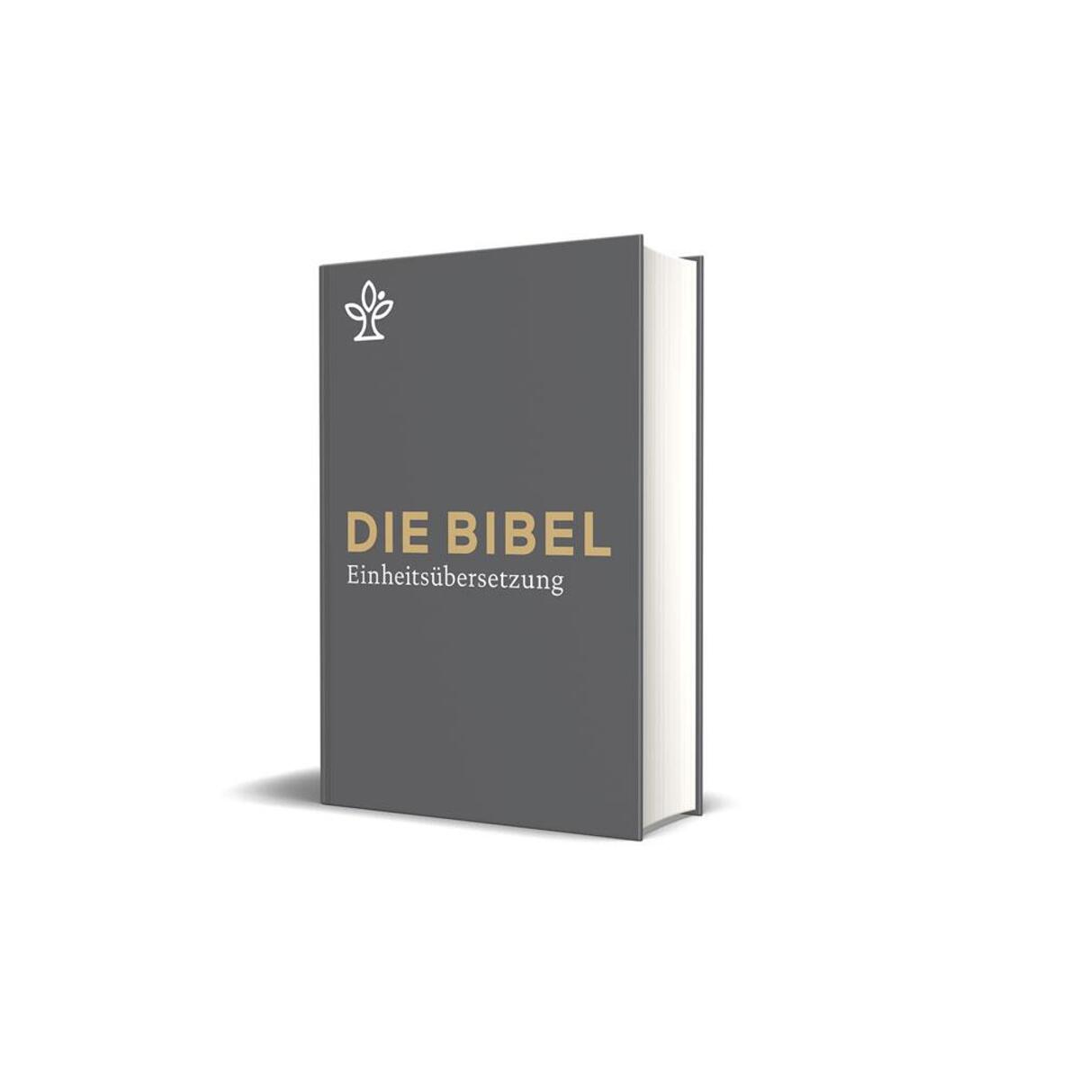 Die Bibel – Großdruck von Katholisches Bibelwerk