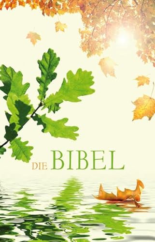 Die Bibel - Schlachter Version 2000: illustriertes Cover