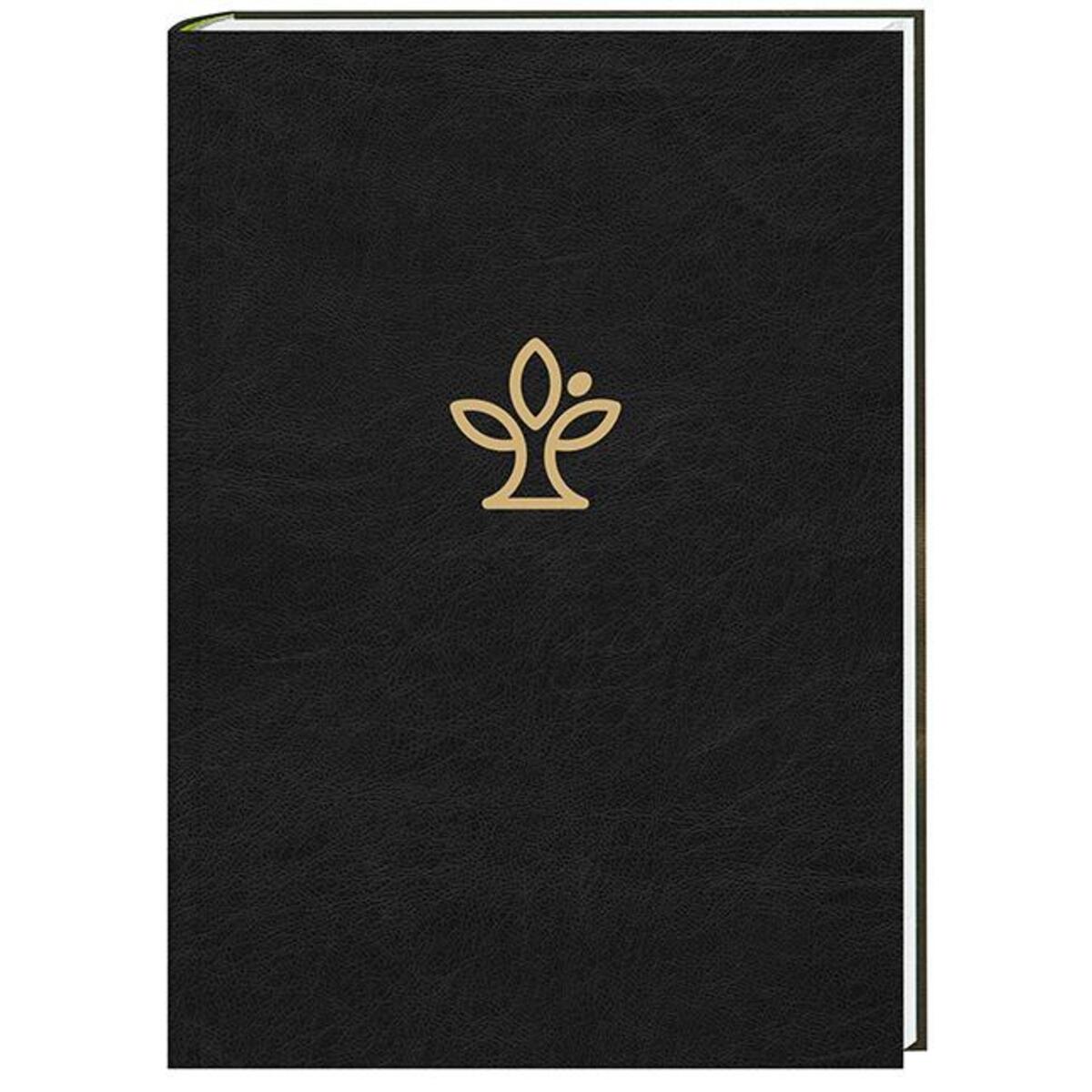 Die Bibel mit Familienchronik Die Bibel mit Familienchronik von Katholisches Bibelwerk