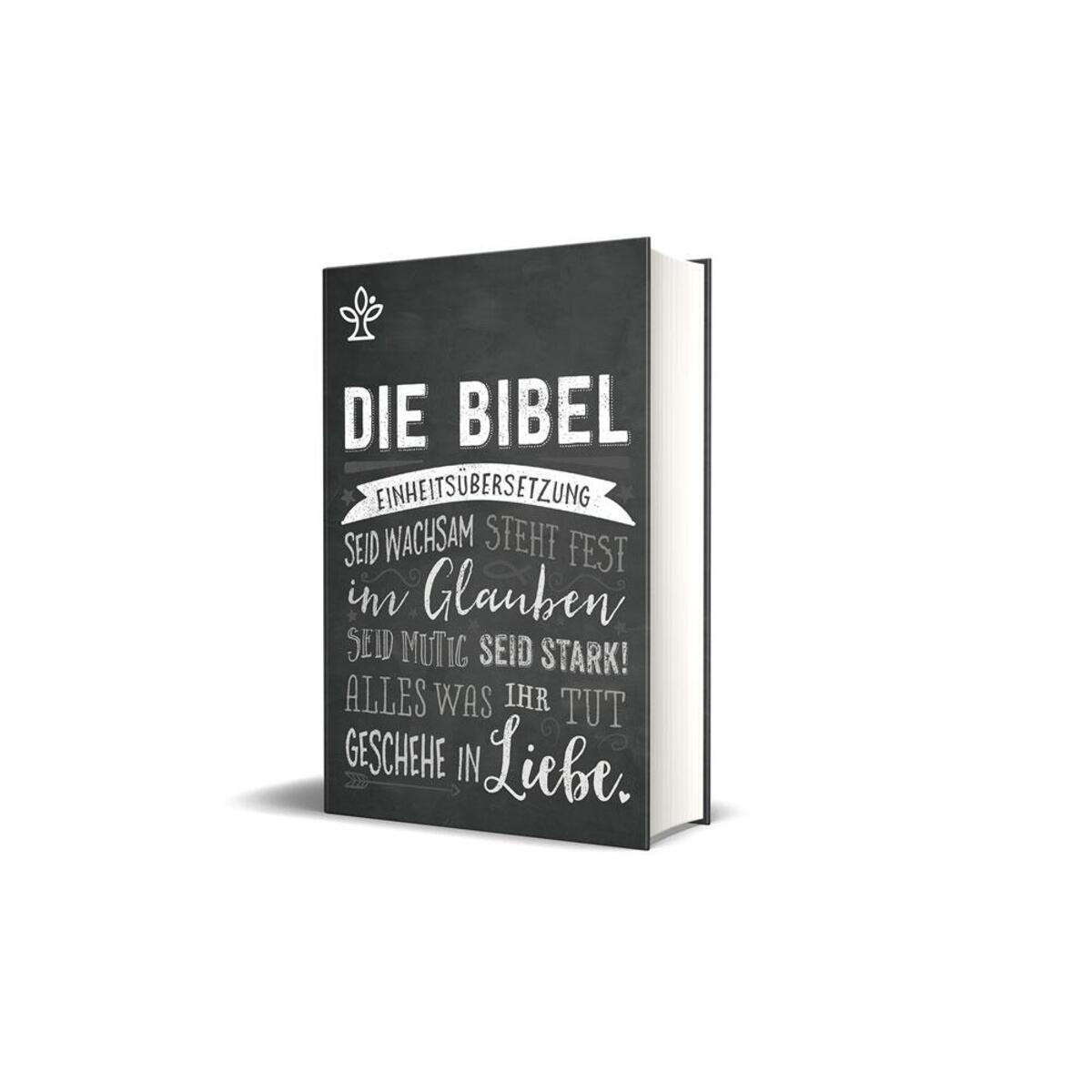 Die Bibel. Mit Sonderseiten für junge Menschen. Die Bibel. Mit Sonderseiten für junge Menschen. von Katholisches Bibelwerk