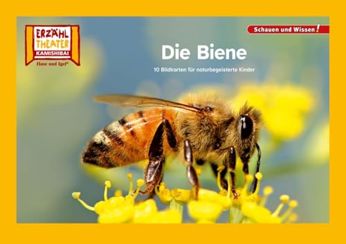 Die Biene / Kamishibai Bildkarten: 12 Fotobildkarten für das Erzähltheater von Hase und Igel Verlag