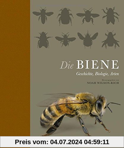 Die Biene: Geschichte, Biologie, Arten
