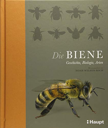 Die Biene: Geschichte, Biologie, Arten von Haupt Verlag AG