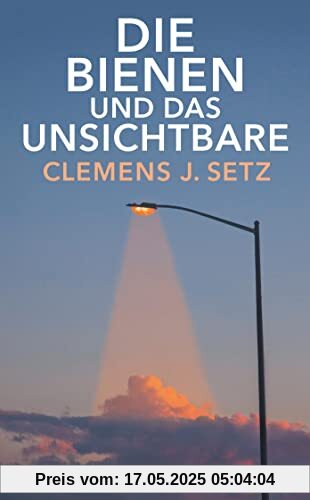 Die Bienen und das Unsichtbare (suhrkamp taschenbuch)