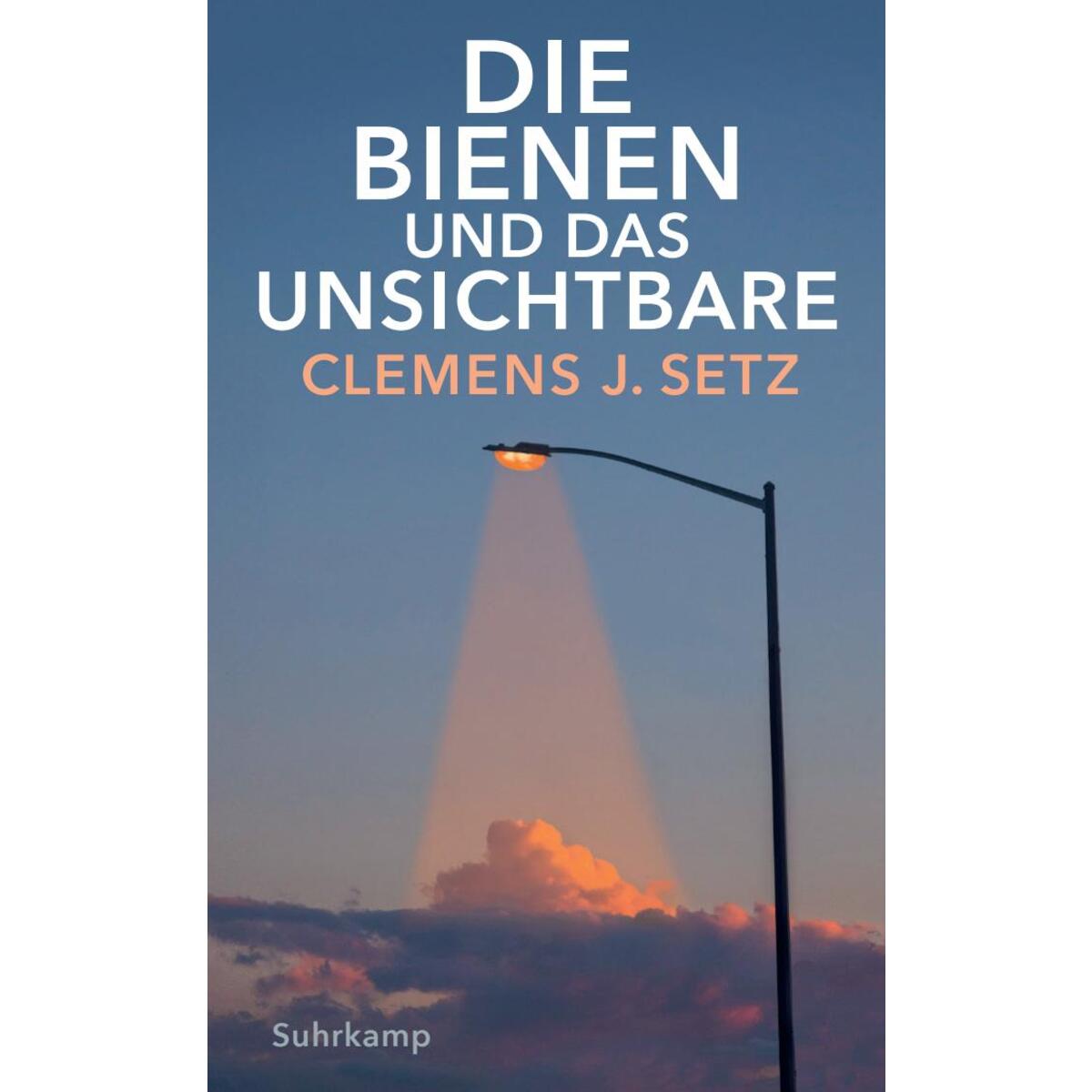 Die Bienen und das Unsichtbare Die Bienen und das Unsichtbare von Suhrkamp Verlag
