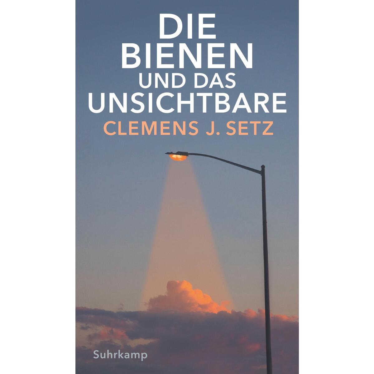 Die Bienen und das Unsichtbare Die Bienen und das Unsichtbare von Suhrkamp Verlag