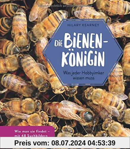 Die Bienenkönigin: Was jeder Hobbyimker wissen muss
