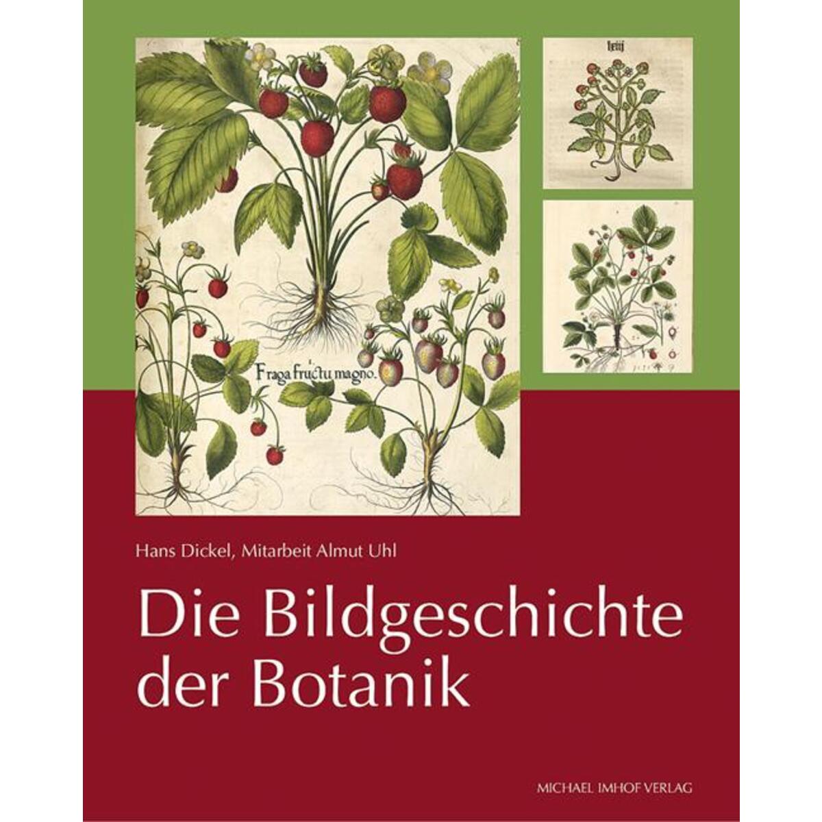 Die Bildgeschichte der Botanik Die Bildgeschichte der Botanik von Imhof Verlag