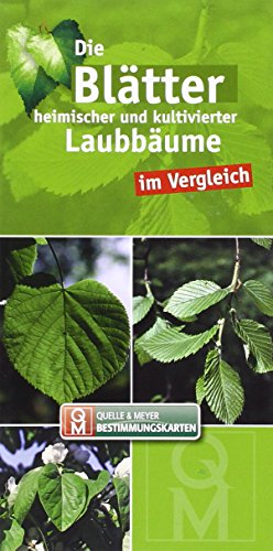 Die Blätter heimischer und kultivierter Laubbäume im Vergleich (Quelle & Meyer Bestimmungskarten)