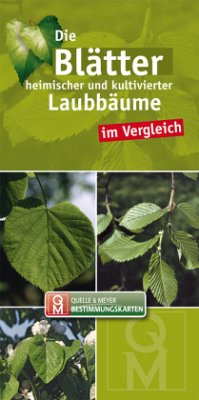 Die Blätter heimischer und kultivierter Laubbäume im Vergleich von Quelle & Meyer