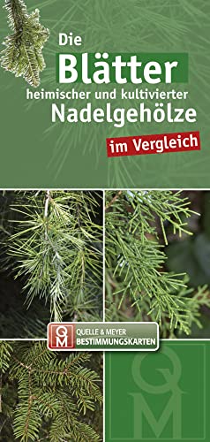 Die Blätter heimischer und kultivierter Nadelgehölze im Vergleich (Quelle & Meyer Bestimmungskarten)