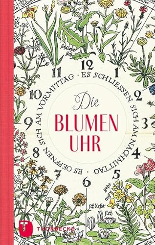 Die Blumenuhr