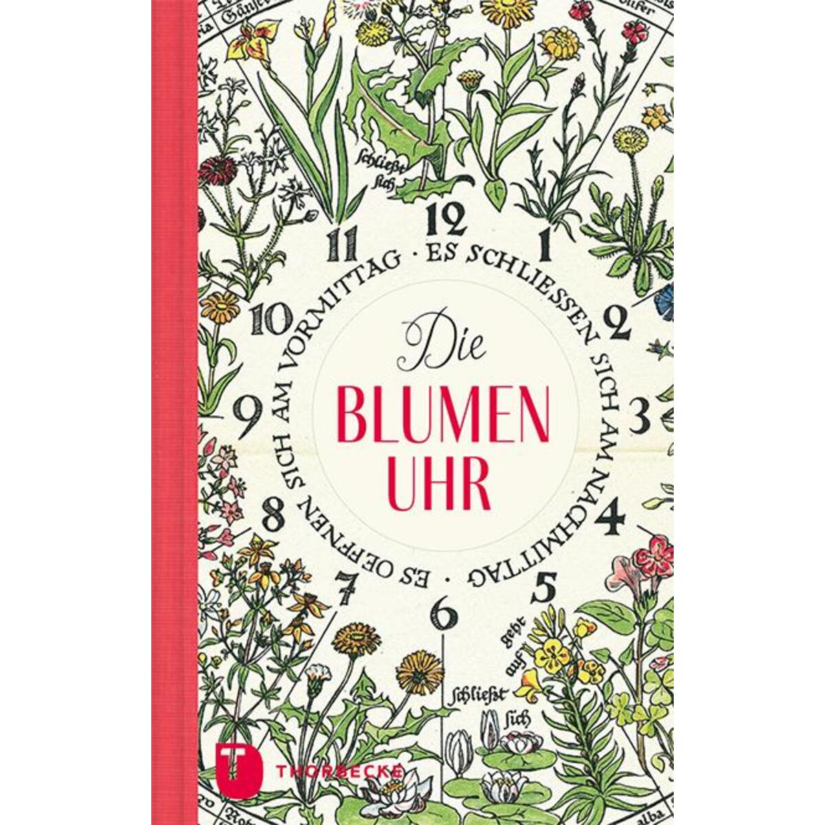 Die Blumenuhr von Thorbecke Jan Verlag