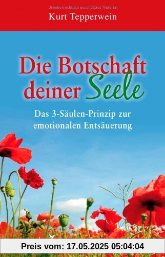 Die Botschaft deiner Seele: Das 3-Säulen-Prinzip der emotionalen Entsäuerung: Das 3-SÃ¤ulen-Prinzip der emotionalen EntsÃ¤uerung