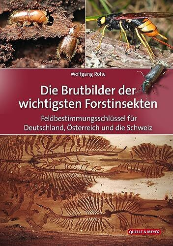 Die Brutbilder der wichtigsten Forstinsekten: Feldbestimmungsschlüssel für Deutschland, Österr...