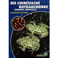 Die Chinesische Rotbauchunke