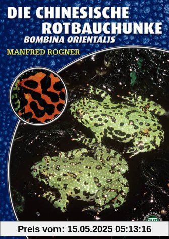 Die Chinesische Rotbauchunke: Bombina orientalis Die Chinesische Rotbauchunke: Bombina orientalis