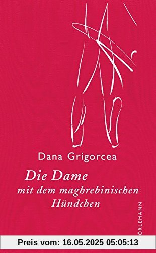 Die Dame mit dem maghrebinischen Hündchen: Novelle