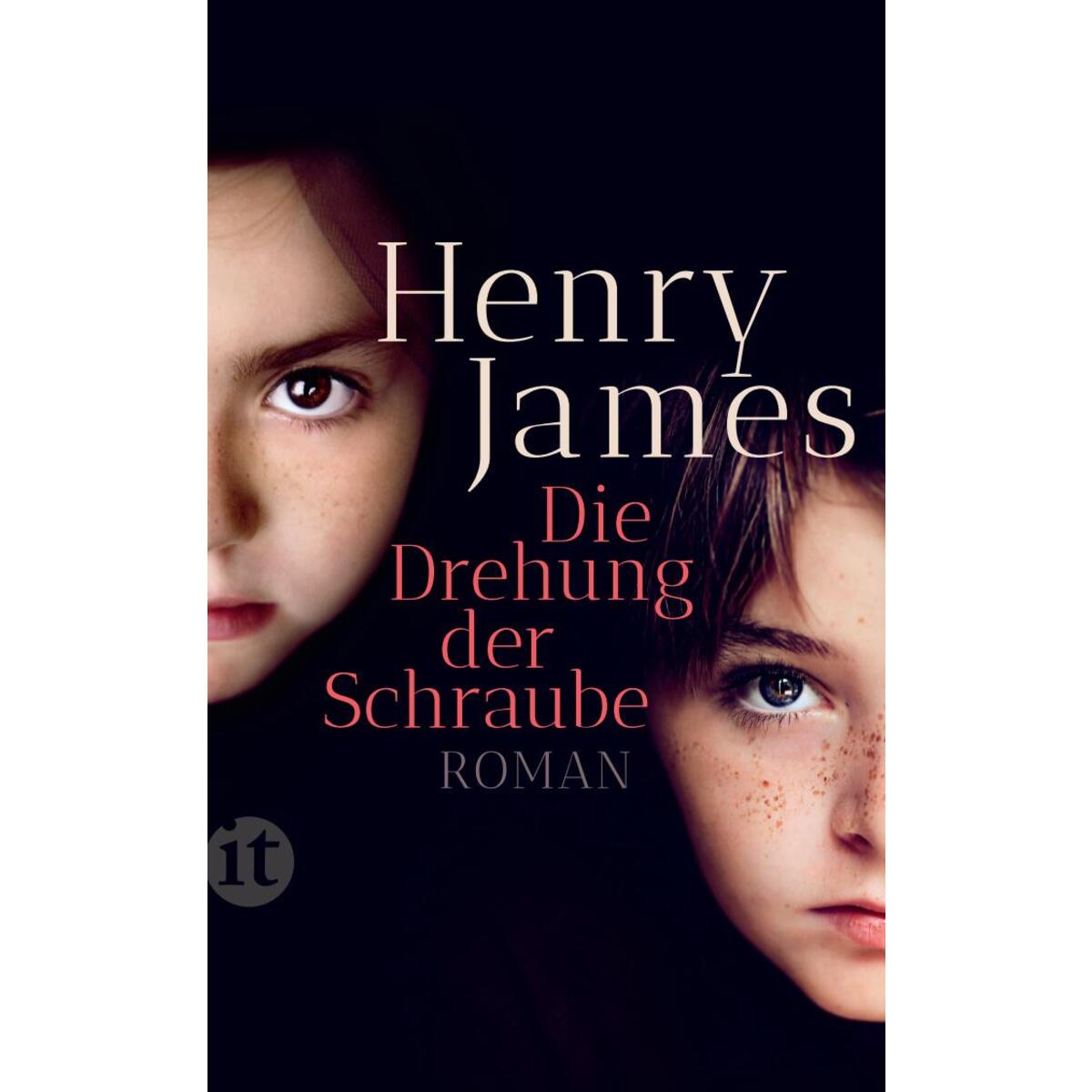 Die Drehung der Schraube Die Drehung der Schraube von Insel Verlag GmbH